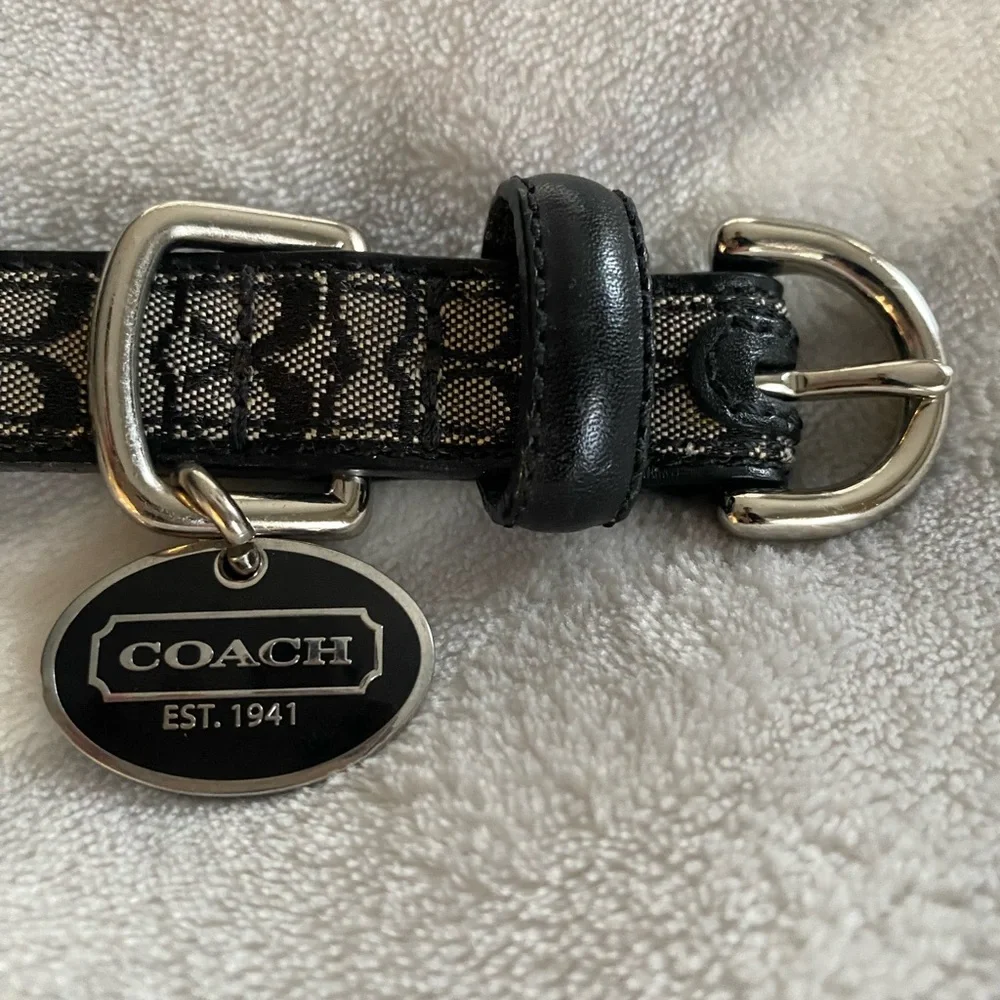 Coach Dog leash and collar